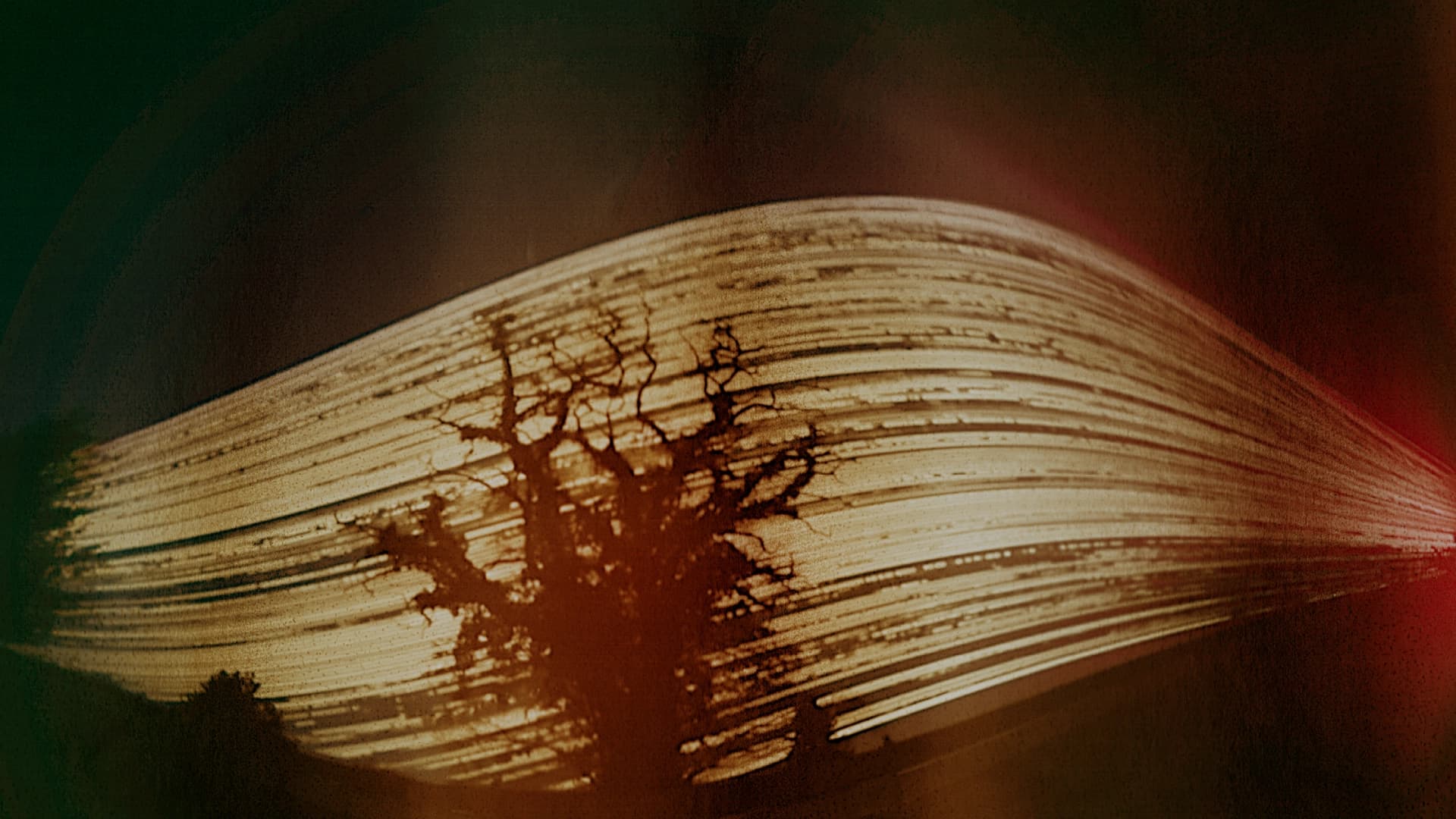 Fotografía. En el centro se observa la silueta oscura de un árbol con ramas extendidas y ramificadas, proyectada sobre una superficie curva compuesta por múltiples líneas horizontales paralelas que forman una especie de cúpula luminosa. Las líneas generan un efecto de movimiento continuo, como trazos de luz prolongados en el tiempo. En la parte inferior izquierda se distingue una masa oscura que sugiere vegetación o una colina. El fondo presenta un degradado con tonos verdosos a la izquierda y rojizos a la derecha, creando un contraste cálido alrededor de la estructura luminosa y resaltando la figura del árbol en primer plano.