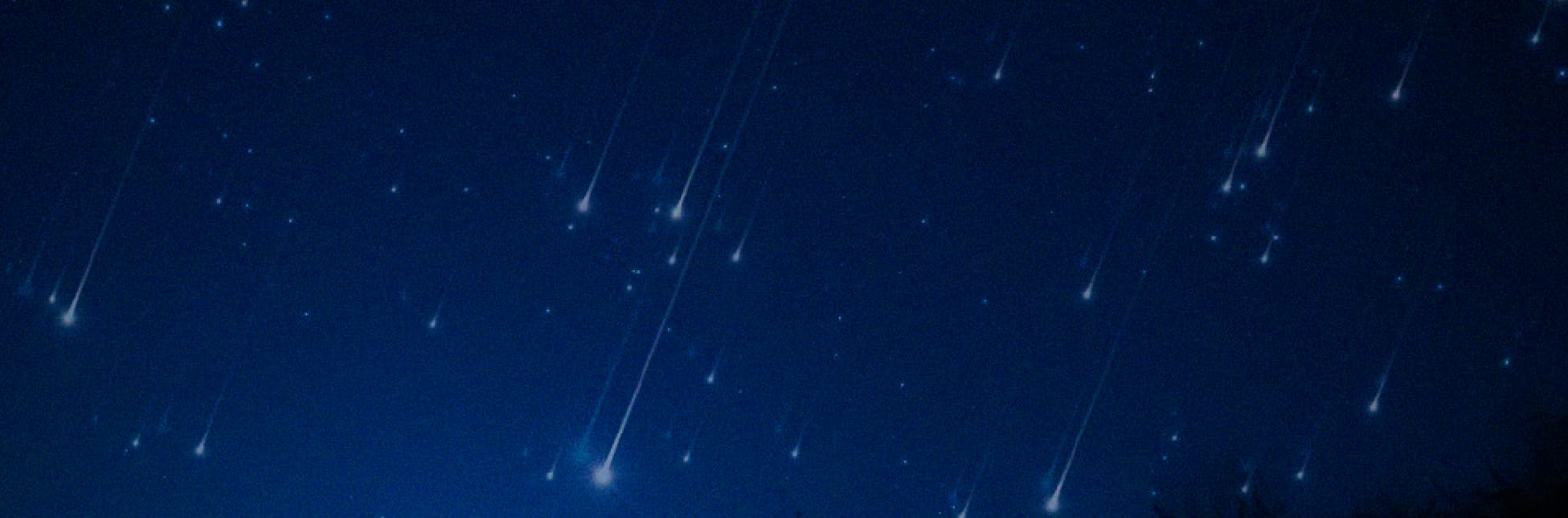 Ilustración. Un cielo nocturno azul oscuro con múltiples estrellas fugaces en movimiento y siluetas de vegetación en la parte inferior.