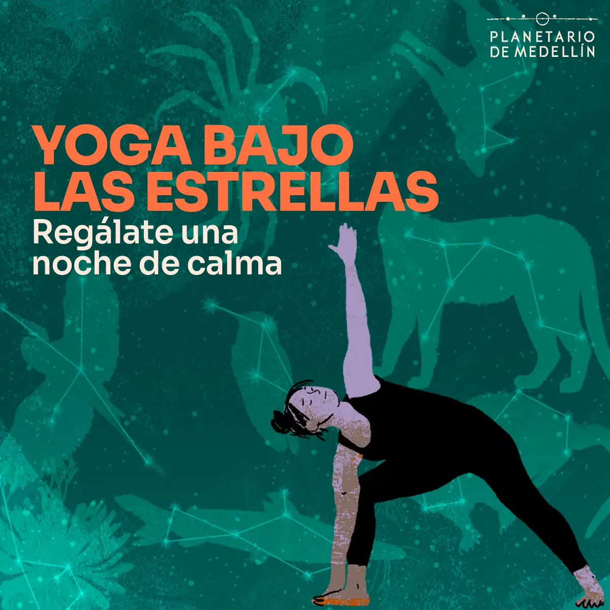 Imagen de galería