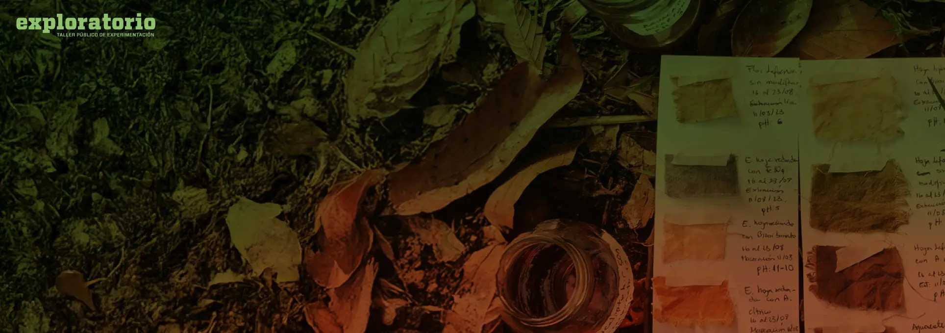 Fotografía intervenida. Sobre una imagen de hojas, frascos, papeles y muestras textiles. A la derecha se ven papeles con anotaciones y tiras de tela teñidas; a la izquierda, hojas secas y un frasco sobre la tierra.