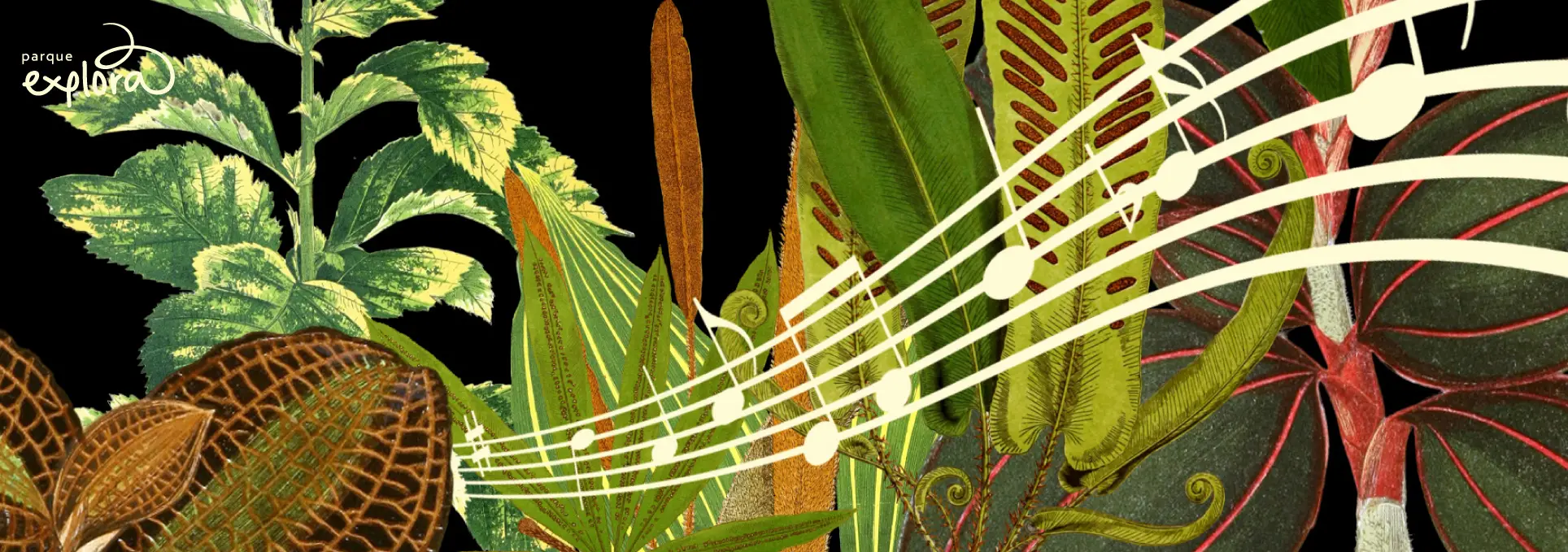 Ilustración. Sobre un fondo oscuro aparecen hojas y plantas superpuestas con un pentagrama y notas musicales que atraviesan la composición.