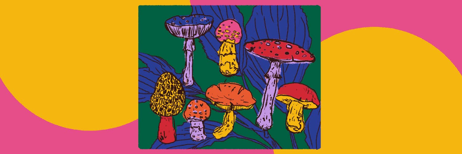 Ilustración. En un recuadro se ven varios hongos y algunas hojas.