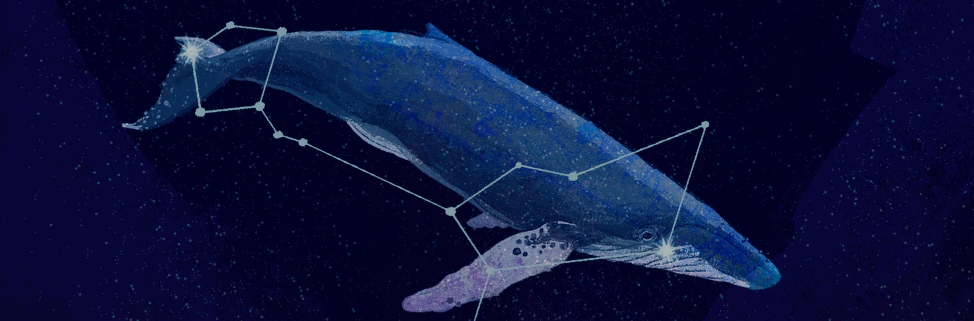 Ilustración. Sobre un fondo estrellado aparece el dibujo de una ballena de perfil, sobre ella varios puntos que se unen con líneas formando una figura.