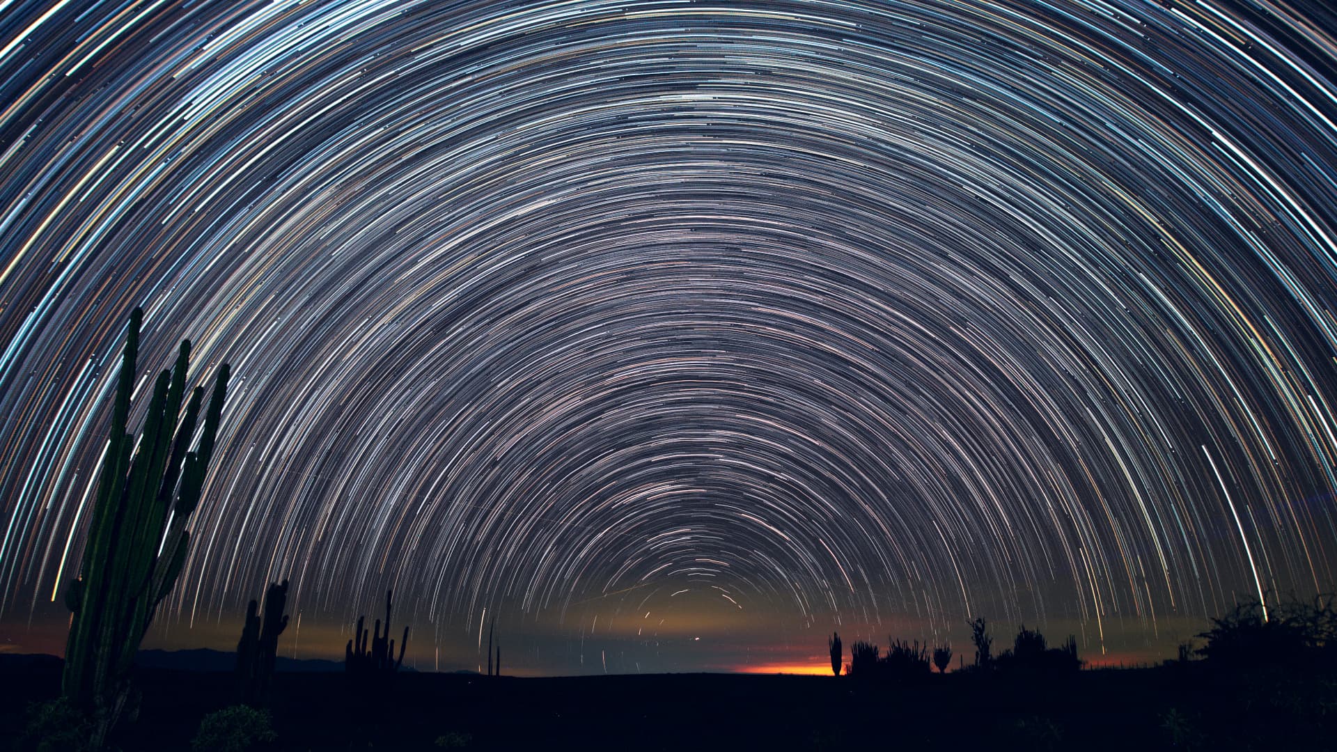 Foto de larga exposición. En un paisaje desertico se ven cactus en el suelo, en el cielo, que ocupa asi la totalidad de la imagen, círculos concéntricos formados por estrellas.