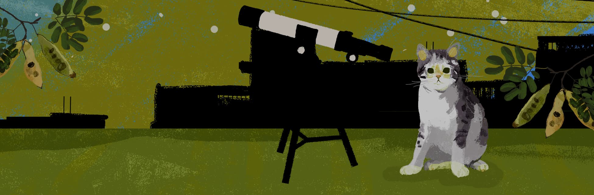 Ilustración. Sobre un fondo amarillo verdoso, se ve la silueta negra de unos edificios y cables de luz, y al frente, un gato blanco con manchas grises está sentado, mirando de frente, a su lado hay un telescopio blanco y negro apuntando hacia la izquierda.