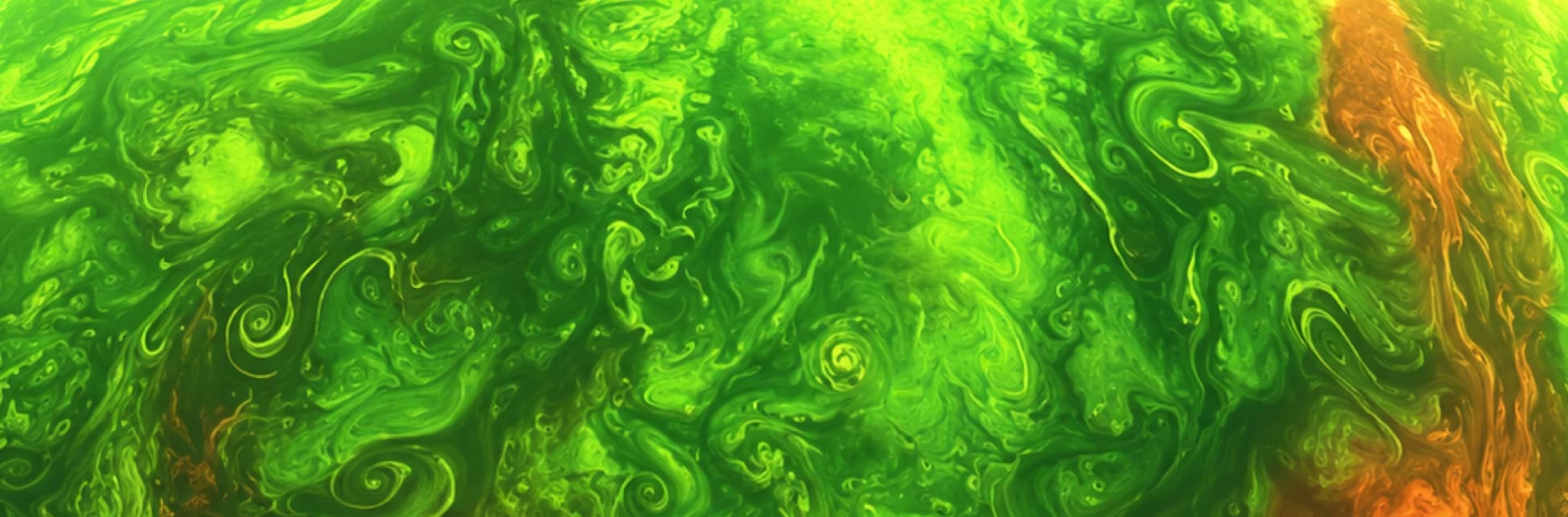 Ilustración de un entorno espacial con un fondo verde con formas fluidas.