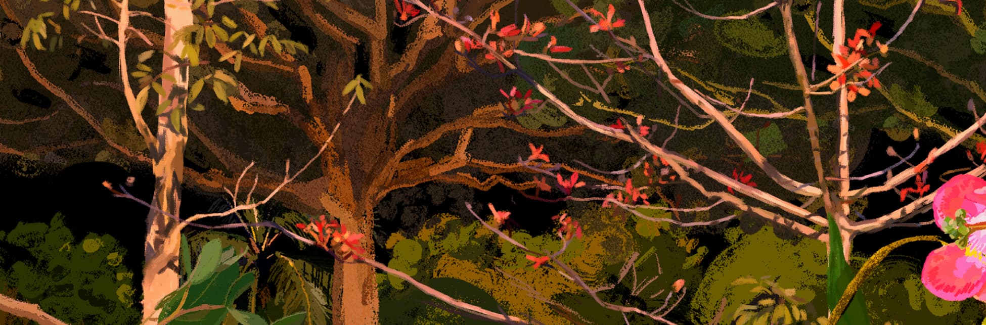 Ilustración. Se ve un árbol con ramas largas cafés y con hojas verdes, cafés y rojas.