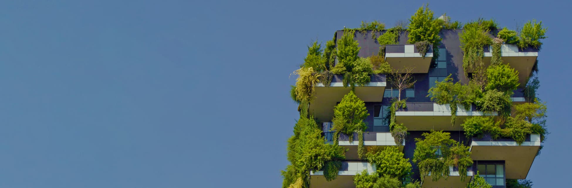 Fotografía. Un edificio con varios balcones cubiertos por vegetación.