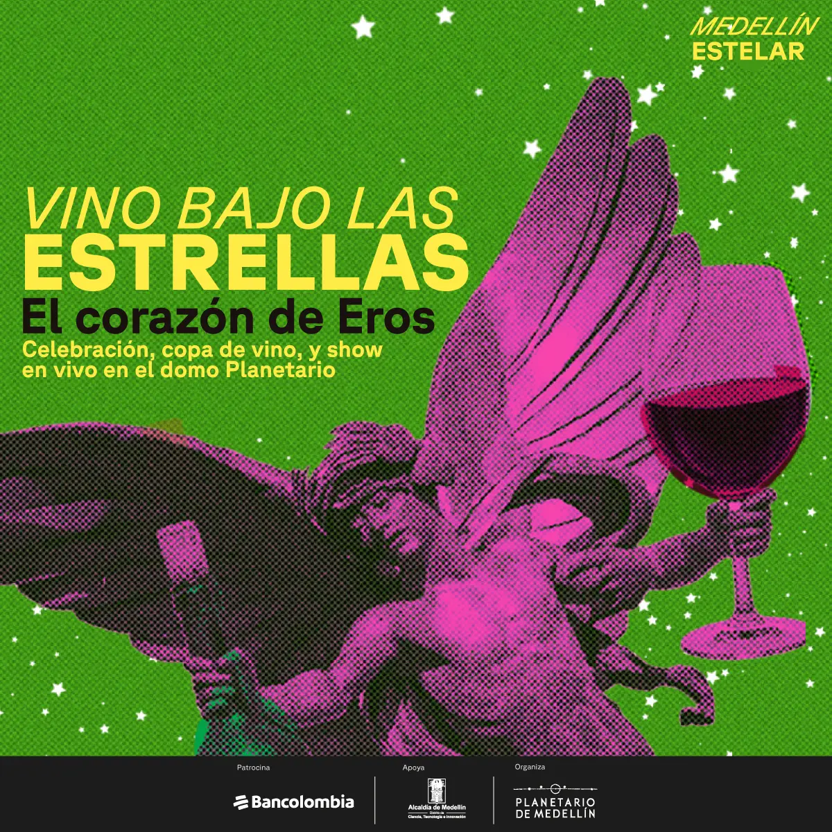 Imagen de galería