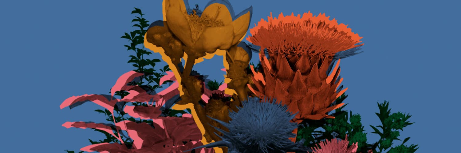 Ilustración. Sobre un fondo azul, se encuentran varias flores y plantas en tonos naranjas, rosados y verdes.