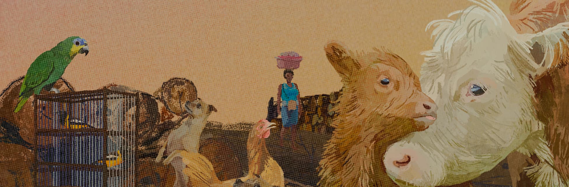 Ilustración. En la parte inferior, se observan varios animales: una vaca y su cría en primer plano, un burro cargando leña, un canguro de pie, un loro verde posado sobre troncos y un par de aves enjauladas. En el fondo, una persona con un recipiente sobre la cabeza camina cerca de una cerca de madera.