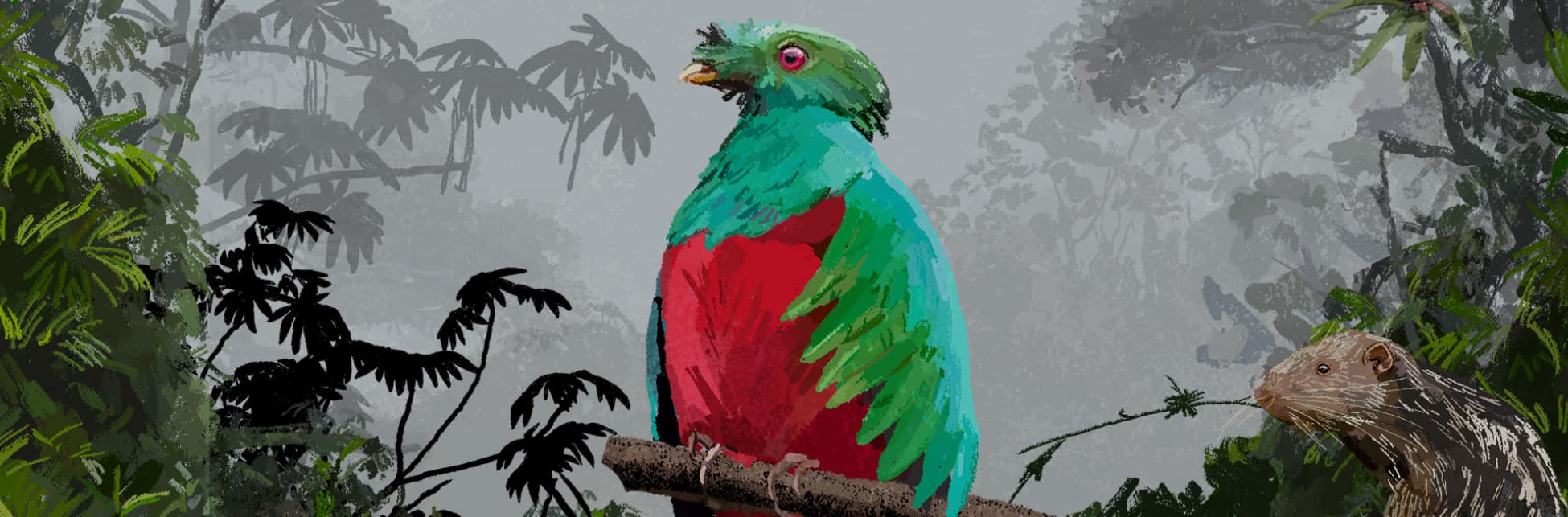 Ilustración. Sobre un fondo nebilinoso se ve un ave de cabeza, pecho y espalda verde brillante y vientre rojo. Sus ojos son rojos.