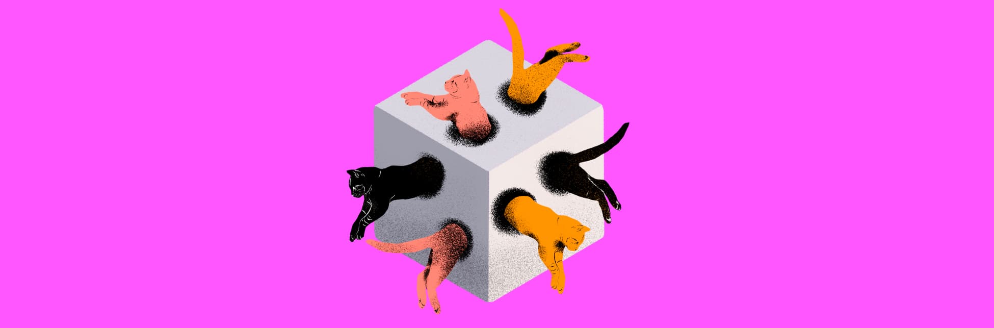 Ilustración. Se ven tres lados de un cubo blanco. Cada lado tiene dos orificios. Hay tres gatos, uno negro, uno rosado y uno amarillo. Cada gato entra por un lado del cubo (solo se ve su parte trasera) y sale por otro (solo se ve su parte delantera).