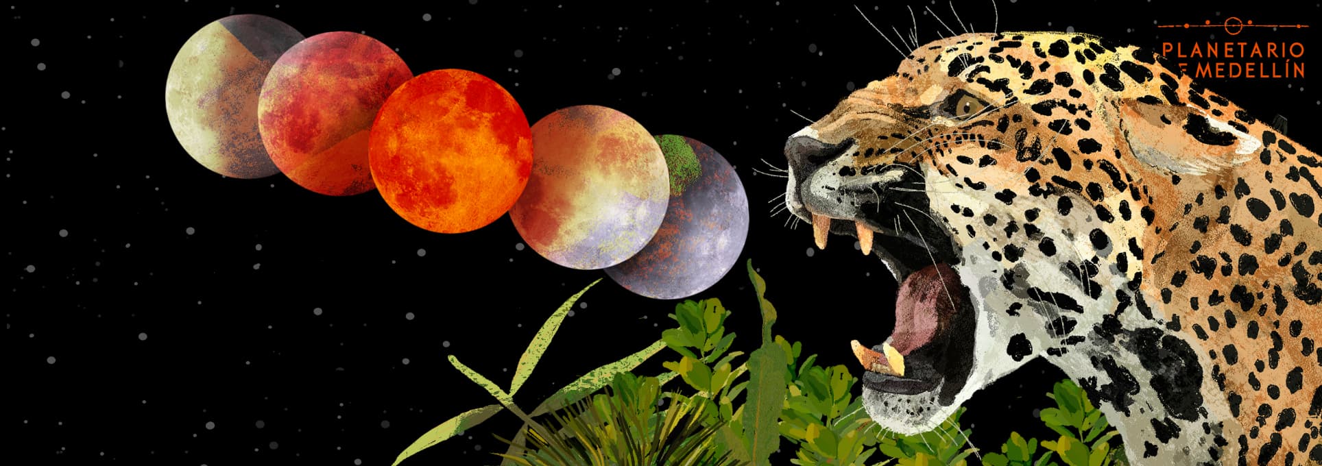 Ilustración. Sobre un fondo negro con pequeños puntos blancos que simulan estrellas, en la parte superior se representa la secuencia de un eclipse lunar con seis fases de la Luna, desde una fase clara hasta una completamente roja. En la parte inferior derecha, una ilustración de un jaguar con la boca abierta.