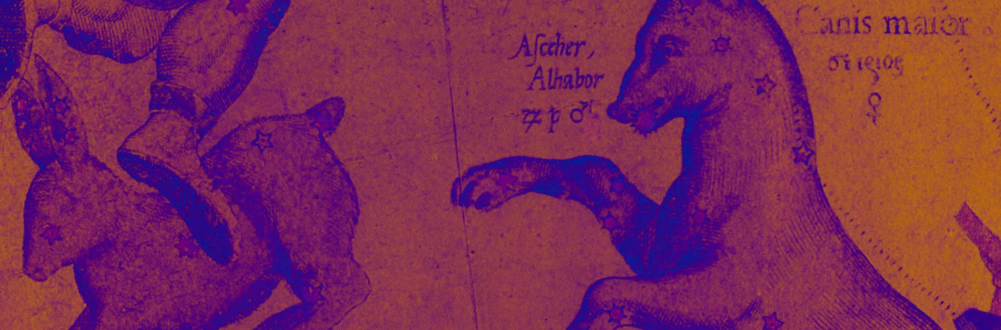 Ilustración. Sobre un fondo naranja con textura antigua aparecen dibujos de constelaciones con forma de animales en tono violeta, uno en la parte superior y otro en la parte inferior, atravesados por líneas y pequeñas estrellas.