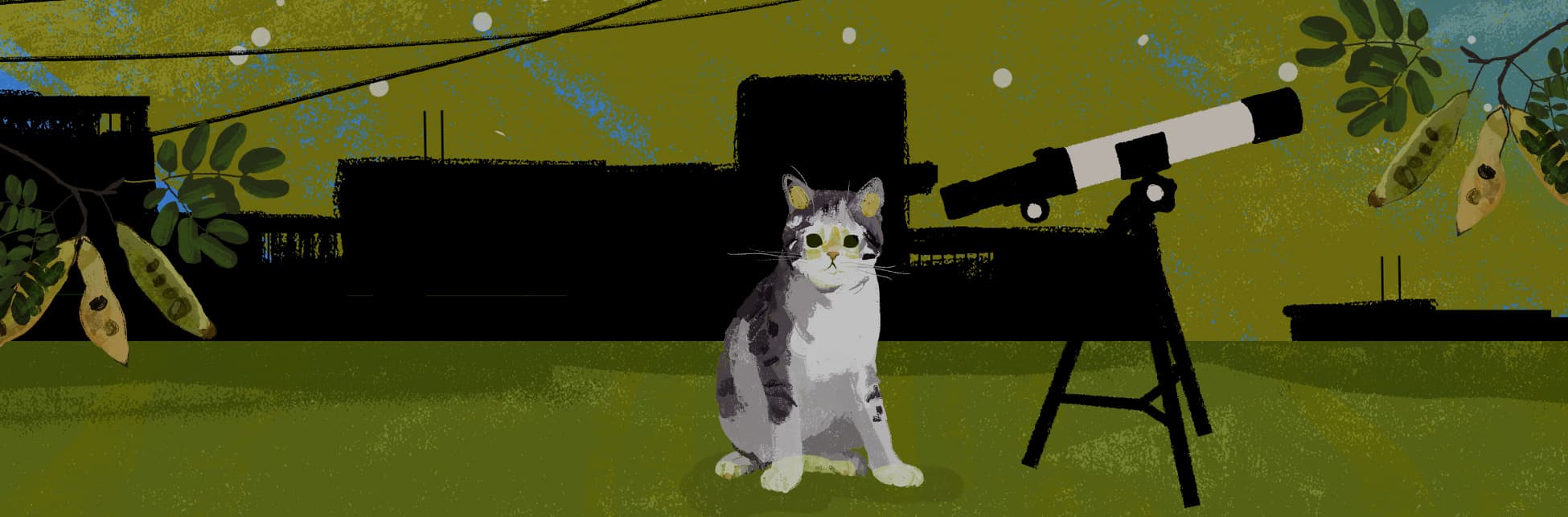 Ilustración. Un gato, de color blanco con manchas grises, se sienta sobre sus patas traseras con una mirada tierna dirigida hacia adelante. Frente a él, hay un telescopio, y de fondo las siluetas de los edificios y puntitos blancos adornado el cielo.