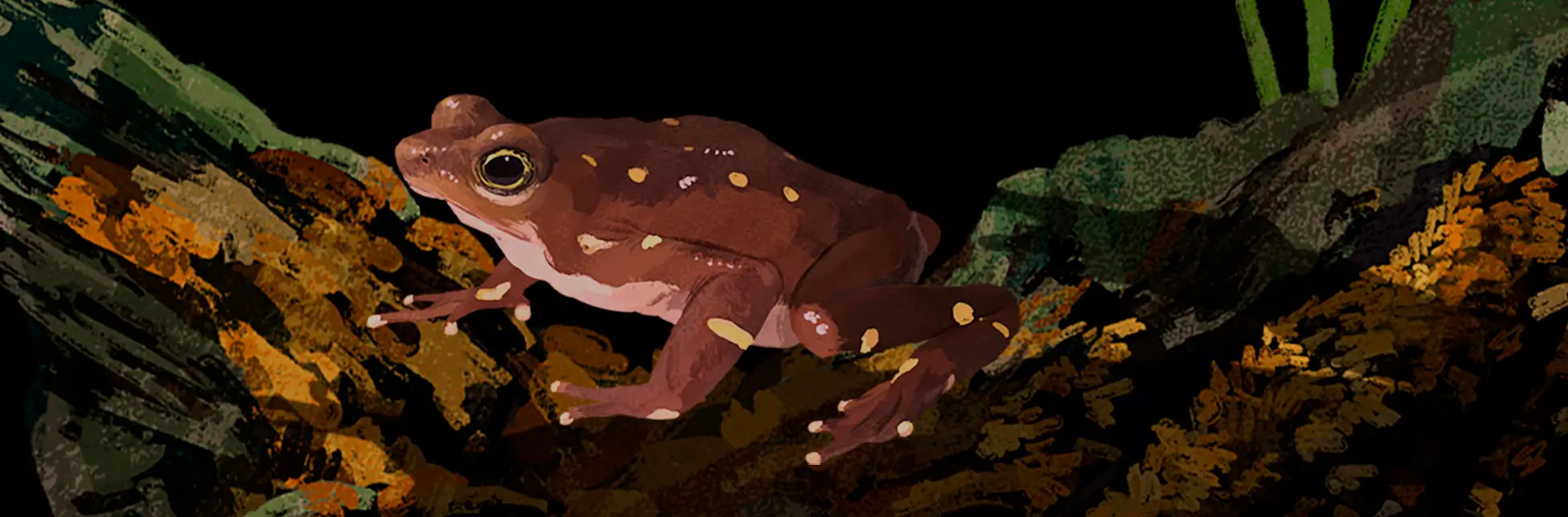 Ilustración de una rana sobre hojas y vegetación.