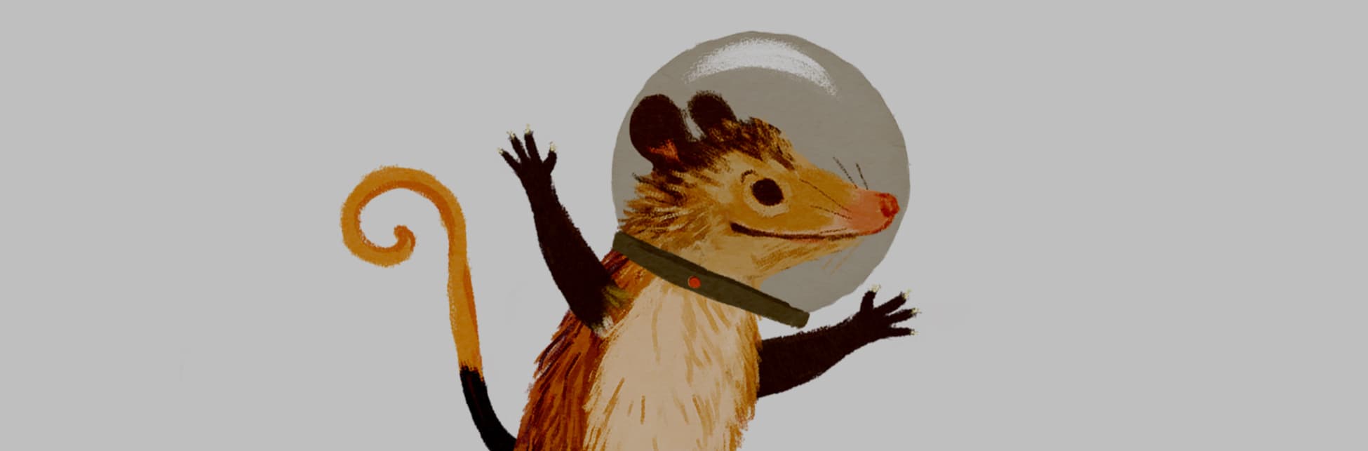 Ilustración. Con un casco de astronauta, una zarigüeya, un animal de hocico puntiagudo, pequeños ojos oscuros y orejas redondeadas, su pelaje es color crema y varia tonos cafés en sus extremidades. Su cola se encuentra enroscada mientras extiende sus patas hacia arriba.