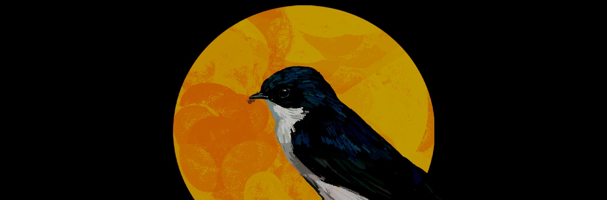 Ilustración. Sobre un fondo negro, un gran disco solar ocupa el centro y detrás de un ave de plumaje oscuro y pecho claro.