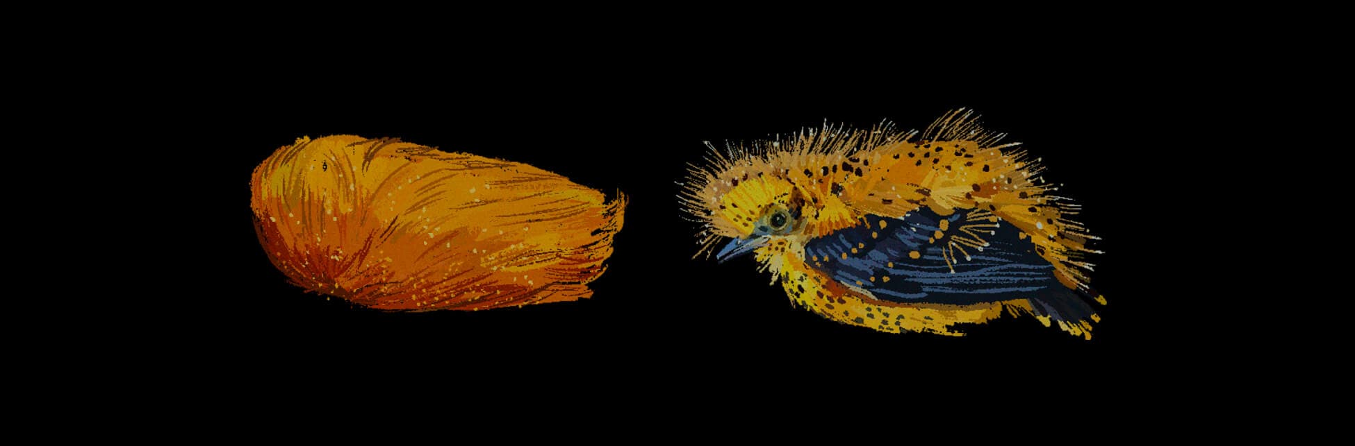Ilustración. De cuerpo entero y de perfil, un pájaro de cuerpo amarillo y alas azul oscuro. Su cuerpo está cubierto de filamentos delgados parecidos a pelos. A sla izquierda una figura alargada con una textura que parecen pelos.