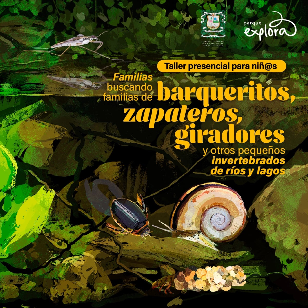 Imagen de galería