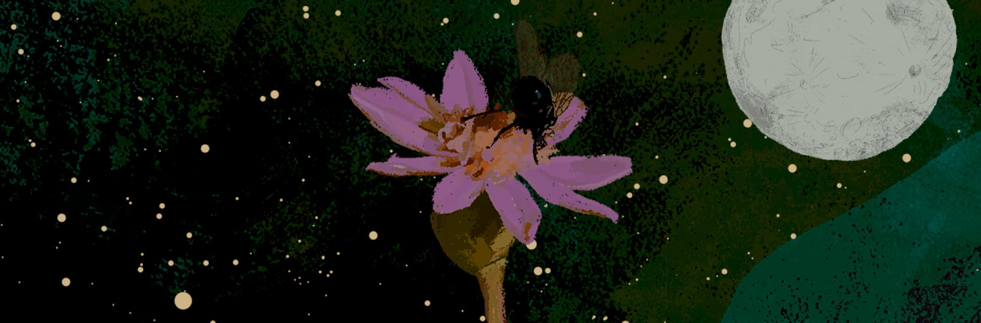 Ilustración. Flor de almendro, pétalos rosados delicados y abiertos. Sobre ella se posa un escarabajo con sus alas preparadas para emprender vuelo. De fondo se aprecia una figura circula que hace alusión a la luna con varios puntitos blancos a su alrededor.