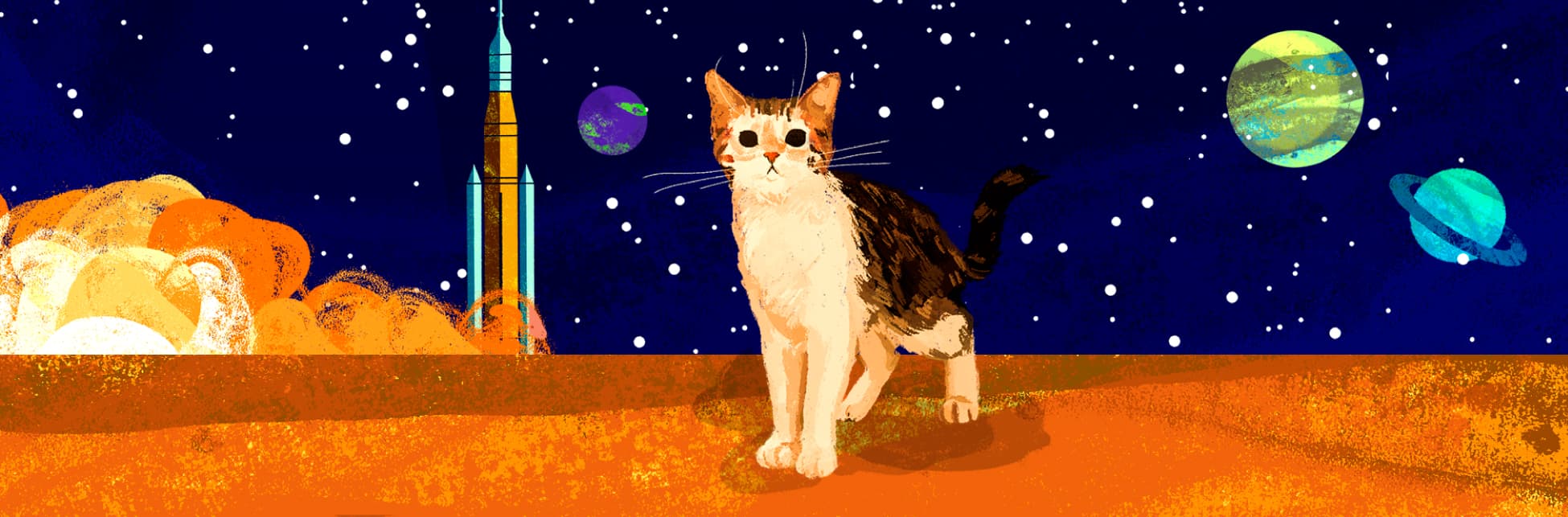 Ilustración. En el centro un gato está parado de frente al lector, tiene el pelaje del pecho blanco y el lomo en tonos de café. En el fondo a la izquierda un cohete azul y amarillo despega, sobre un fondo de estrellas y planetas.