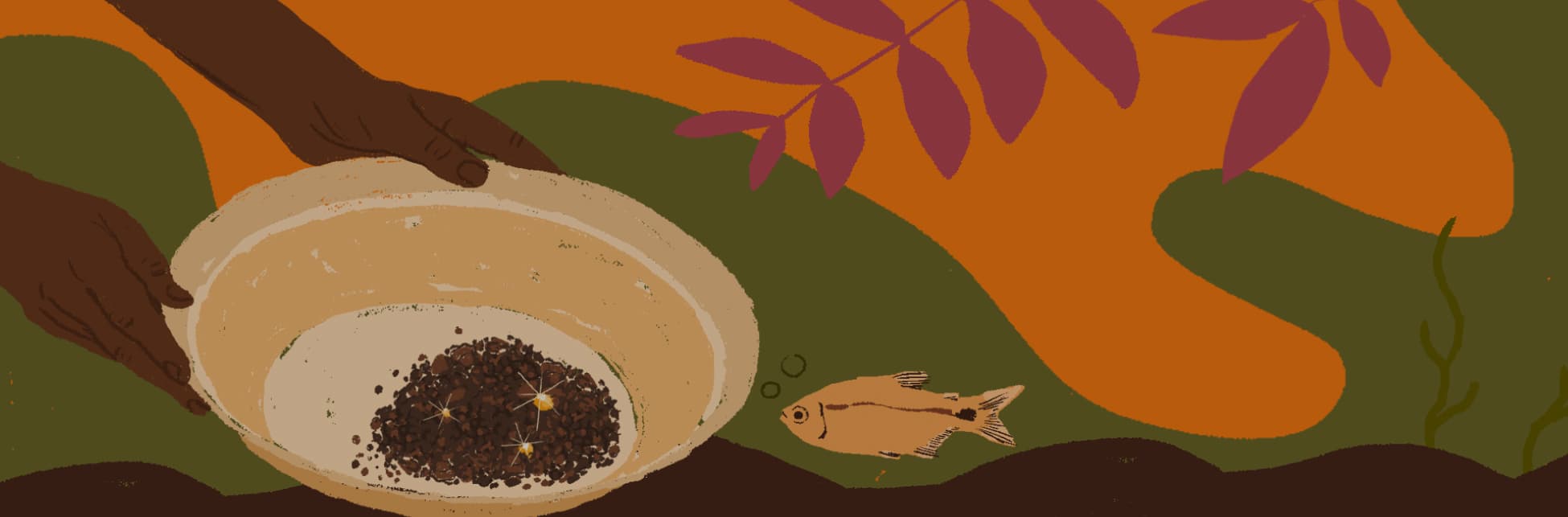 Ilustración. De la esquina superior izquierda salen dos manos que sostienen un recipiente hondo que tiene al fondo unos pequeños granos color café y entre ellos algunos de color dorado brillante, bajo estas una línea irregular y un pez.