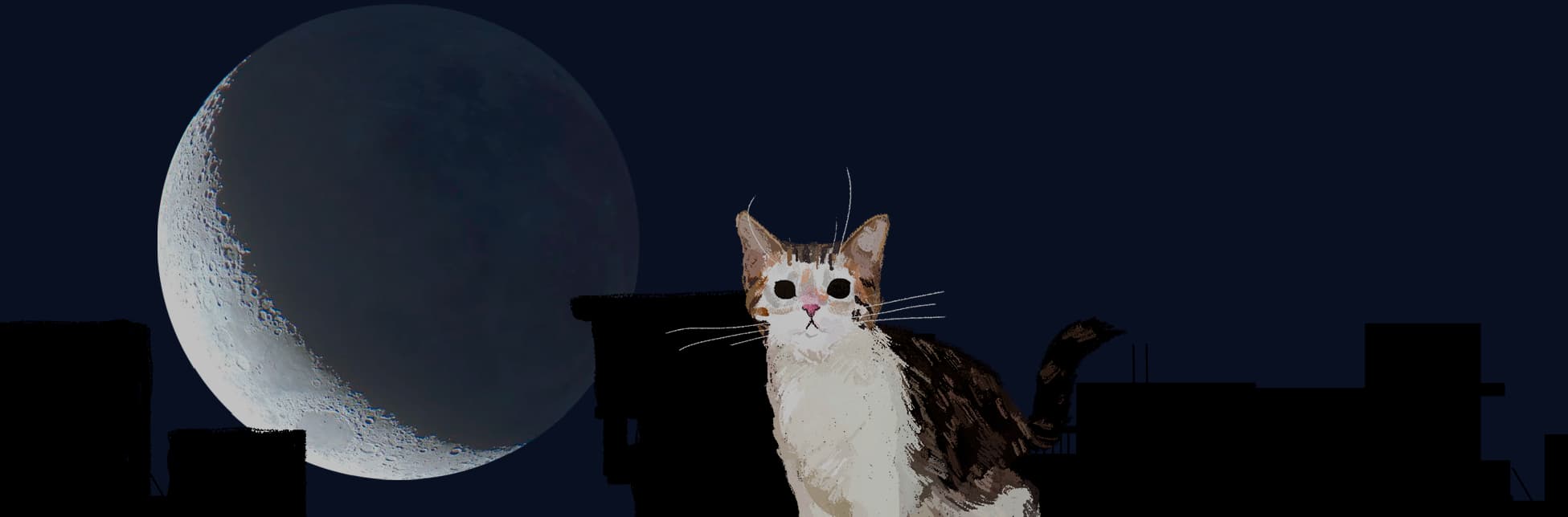 Ilustración. Sobre un cielo nocturno azul oscuro se observa una gran Luna en fase creciente hacia el lado izquierdo. En el centro se encuentra un gato blanco con manchas marrones y negras, que mira de frente. Al fondo se distinguen siluetas de edificaciones negras que enmarcan la escena.