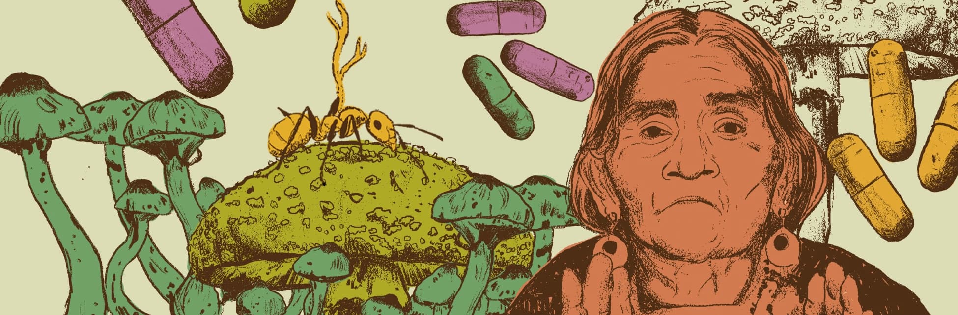 Fotomontaje. Una mujer aparece entre ilustraciones de hongos, una hormiga y cápsulas.