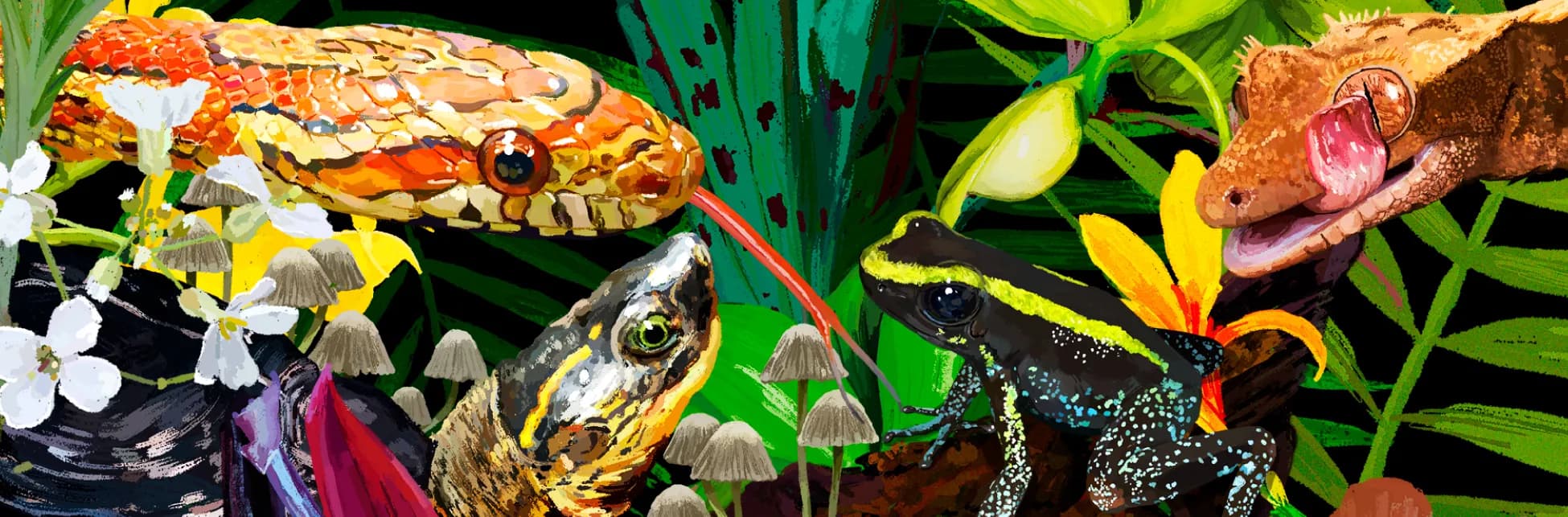Ilustración. La imagen muestra un entorno selvático con hojas verdes y flores amarillas y rojas, entre las que aparecen varios animales: en la parte superior, una serpiente de colores naranja y amarillo con la lengua afuera; a su lado, un gecko marrón con la lengua extendida; en la parte inferior izquierda, una tortuga con la cabeza erguida; y en la esquina inferior derecha, una rana negra con manchas amarillas y azules.