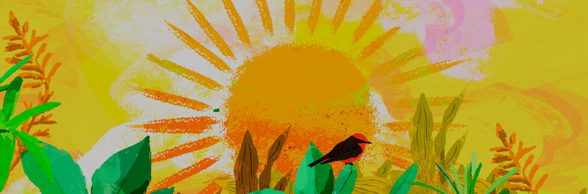 Ilustración. En el fondo se representa un sol radiante con rayos anaranjados y amarillos, sobre un cielo con pinceladas rosadas y moradas. En la parte inferior, hay plantas verdes y un ave de plumaje rojo y negro.