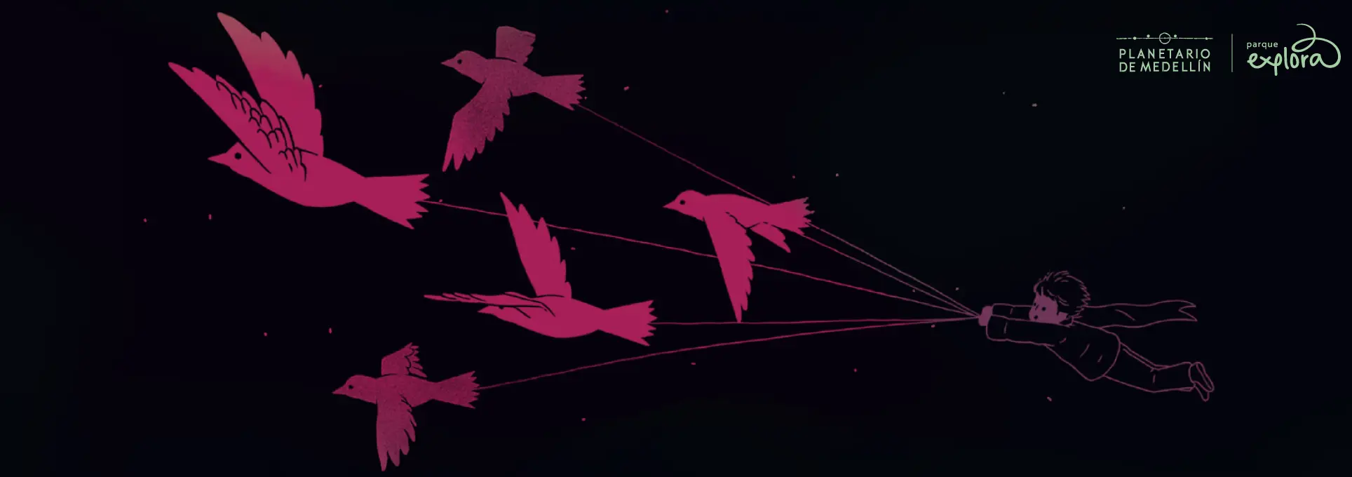 Ilustración. Sobre un fondo oscuro con puntos que evocan un cielo nocturno, varias aves rojas vuelan hacia la izquierda sujetas por hilos. A la derecha, un niño flota en el aire con el cuerpo extendido y el brazo levantado, sosteniendo los hilos de las aves.