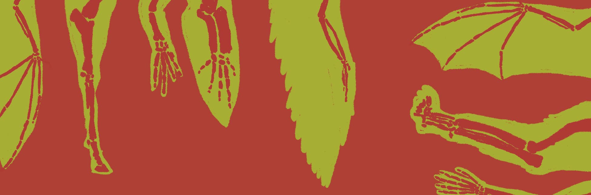 Ilustración.