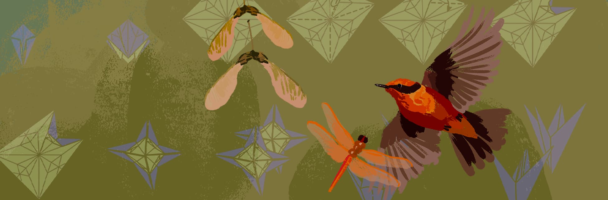 Ilustración. Sobre un fondo verde con figuras geométricas que simulan pliegues de papel, se observan un ave de plumaje anaranjado y café en pleno vuelo, una libélula de tonos naranjas y dos semillas aladas.
