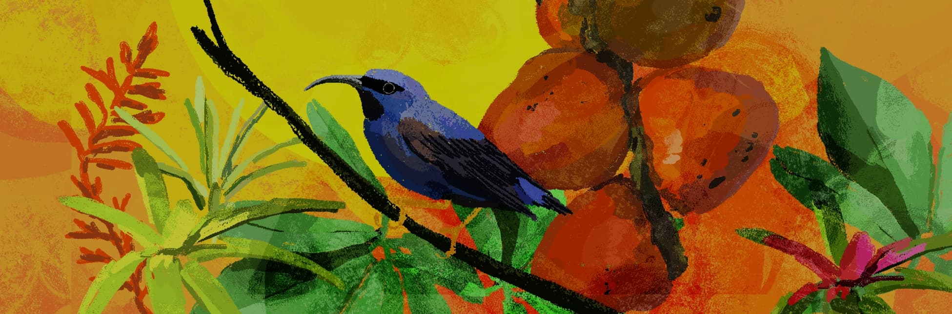 Ilustración con fondo amarillo intenso, frutos redondos anaranjados y un ave posada sobre una rama.