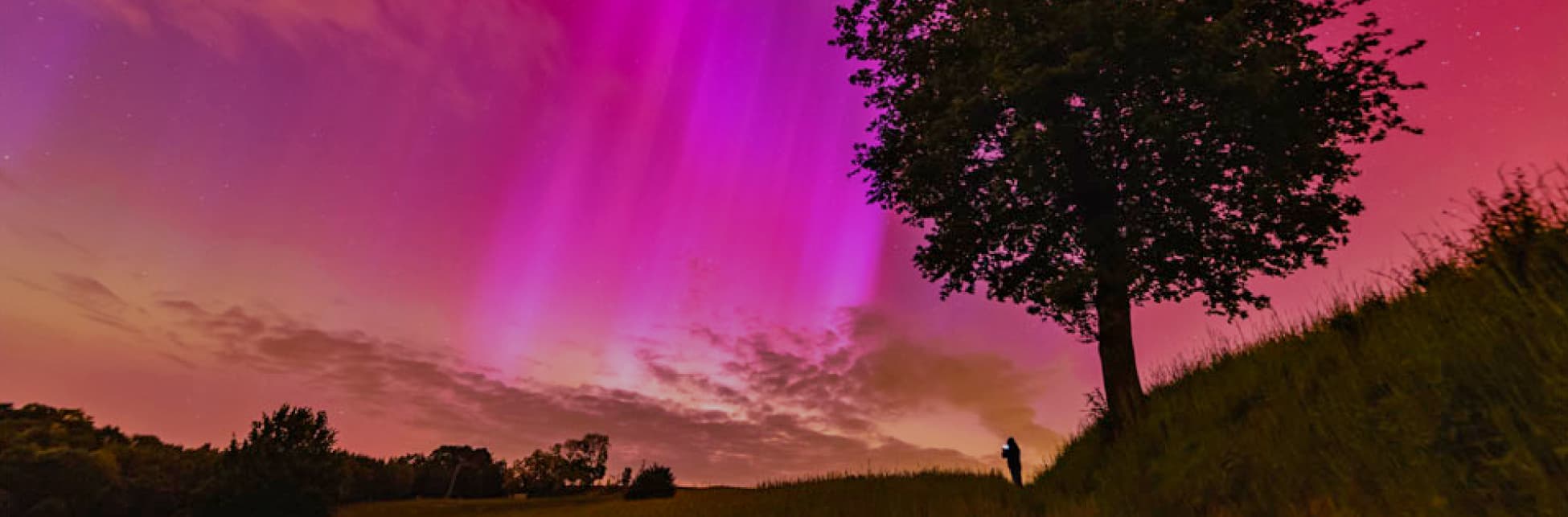 Fotografía. El cielo pintado en tonos púrpura y rosa. A la derecha, hay un árbol grande, en la base del árbol, hay una persona de pie de la cual se aprecia su silueta en contra luz. El terreno tiene una ligera pendiente y hay una línea de árboles en el horizonte.