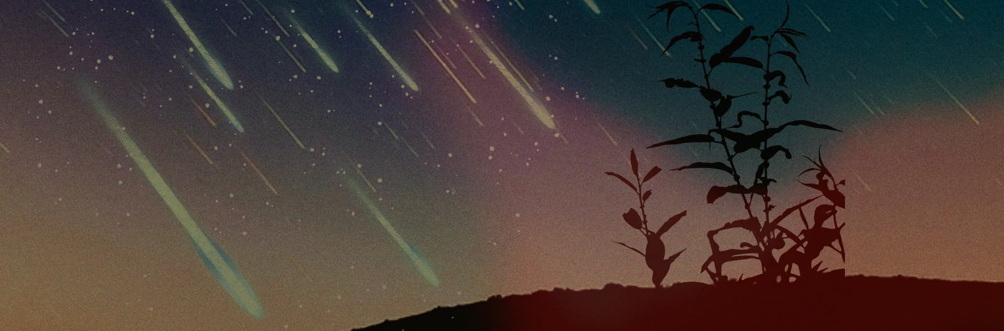 Ilustración de un cielo nocturno con múltiples trazos de meteoros cruzando en diagonal y siluetas de vegetación en la parte inferior.