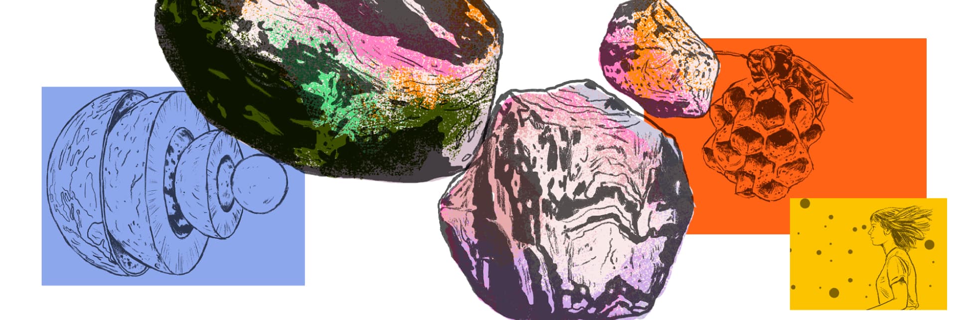 Ilustración. Grandes rocas con vetas de colores, una figura de insecto sobre un panal en un recuadro naranja, un planeta seccionado en capas dentro de un recuadro azul y, en la parte inferior derecha, el perfil de una mujer dibujada en un recuadro amarillo.