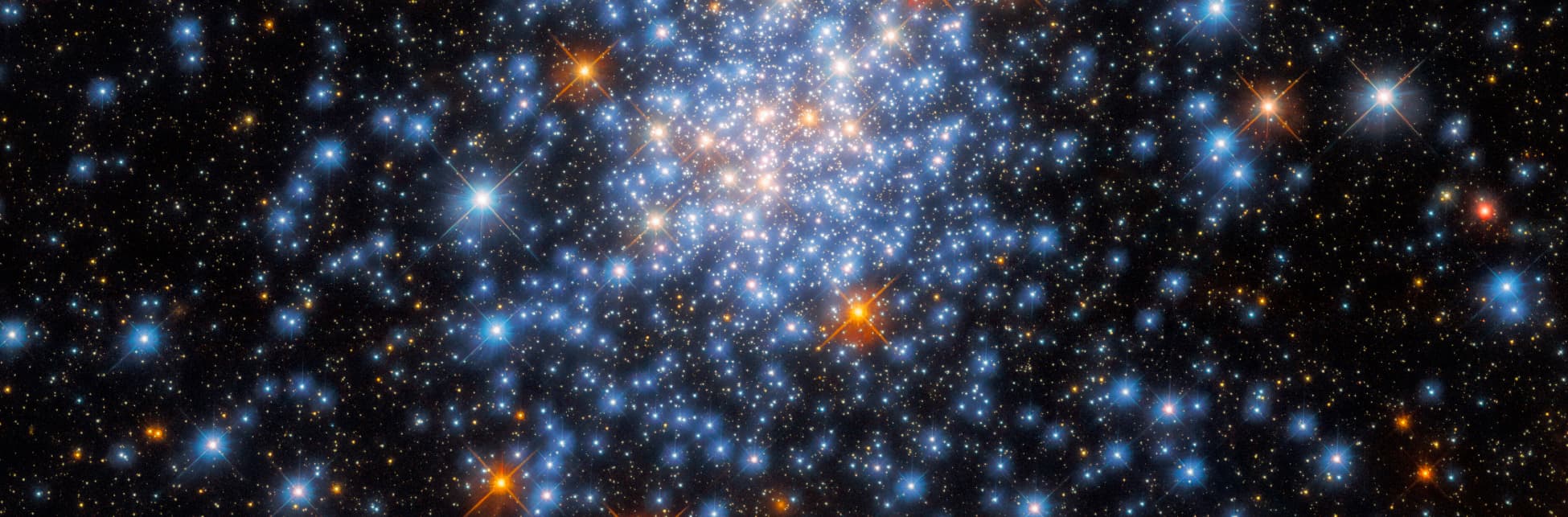 Foto. Sobre un fondo negro muchas estrellas de colores de diversos tamaños y colores.