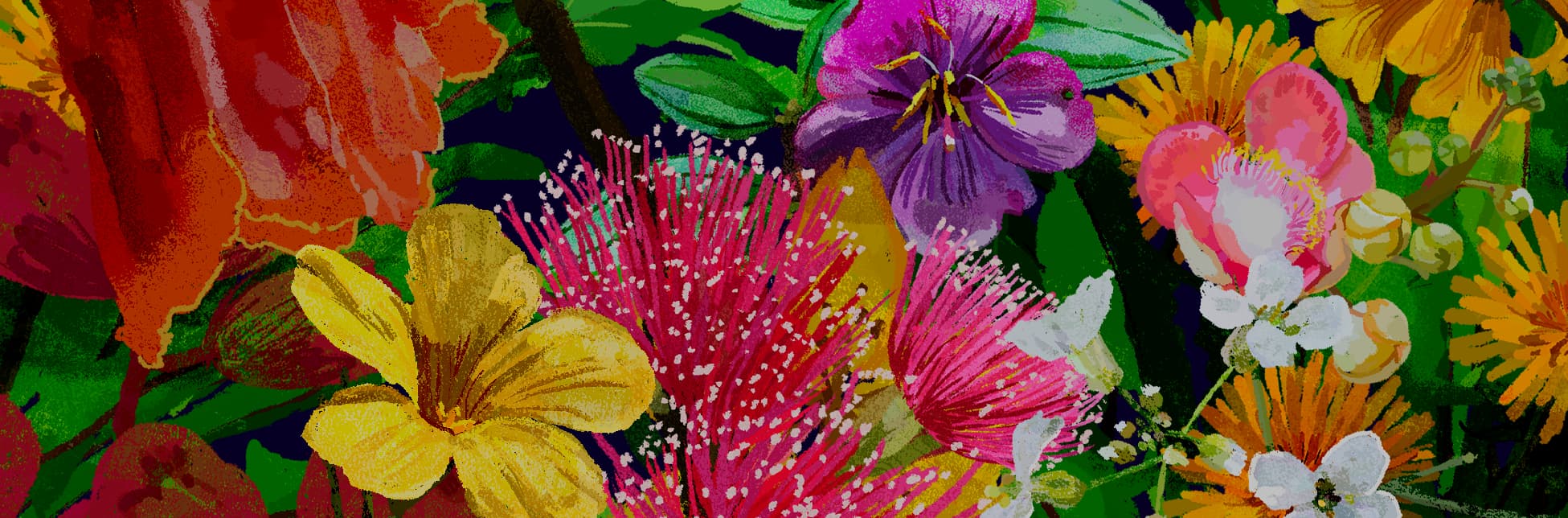 Ilustración. Un fondo lleno de flores coloridas en tonos amarillos, rosados, naranjas, morados y verdes.