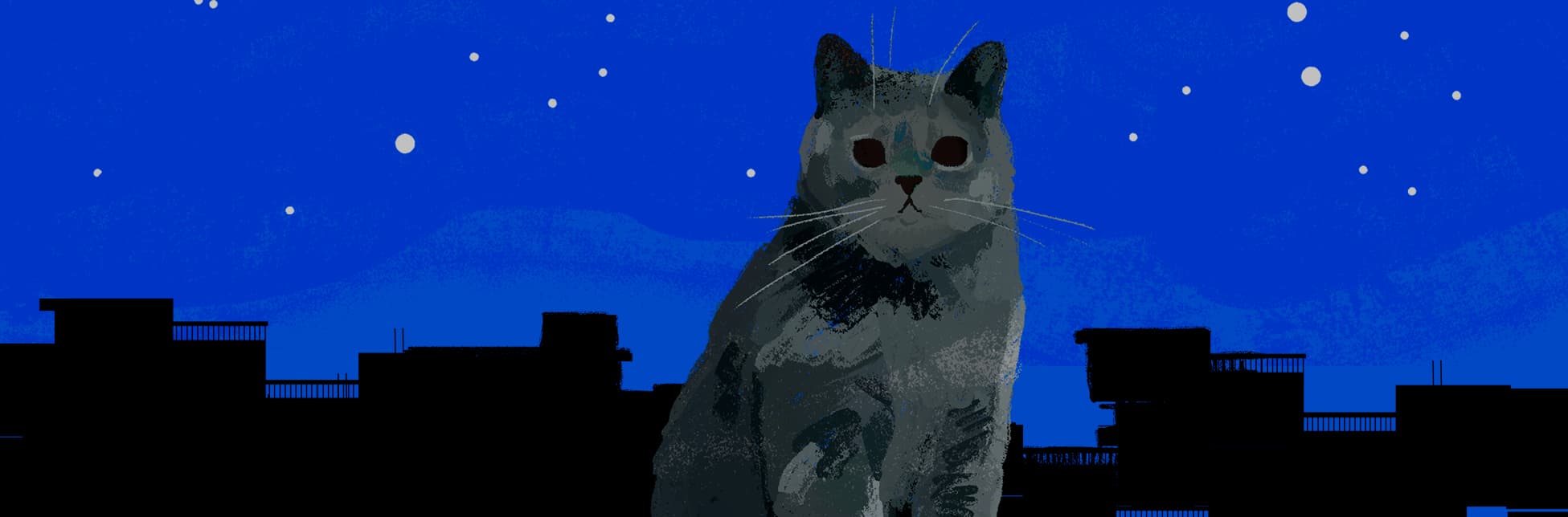 Ilustración. Sobre un fondo nocturno con cielo azul estrellado y siluetas negras de edificios, se encuentra un gato gris sentado sobre un libro rosado y verde.