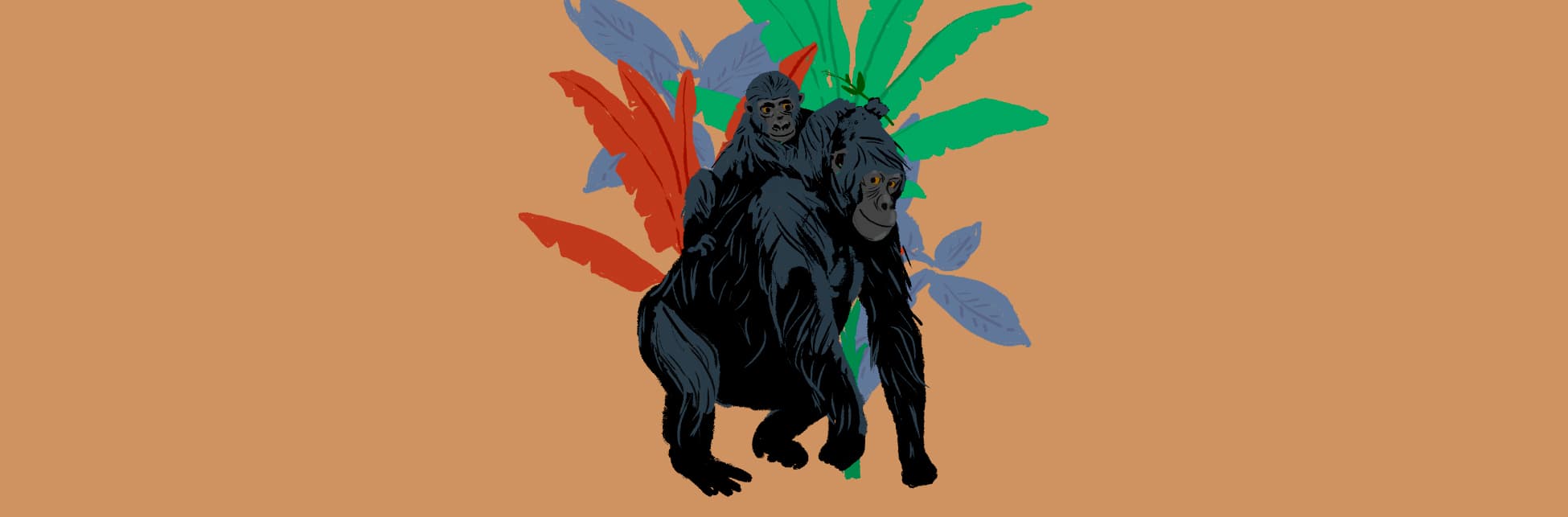 Ilustración. En la parte izquierda de la imagen un simio color negro de cuerpo entero y de medio perfil, está parado sobre sus cuatro patas y en su espalda lleva un simio bebé que sostiene son su pata delantera una rama.