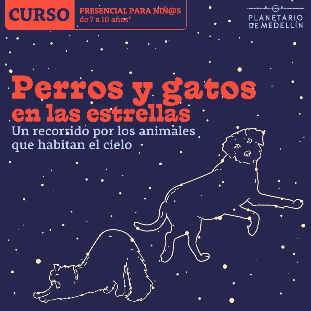 Imagen de galería