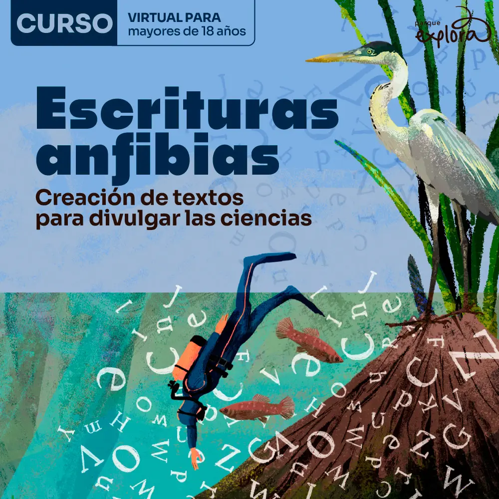 Imagen de galería