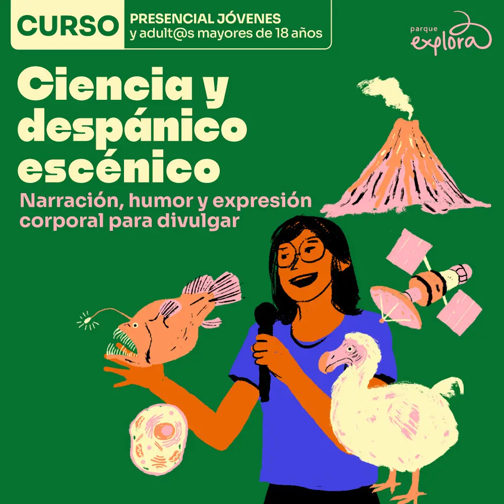 Imagen de galería