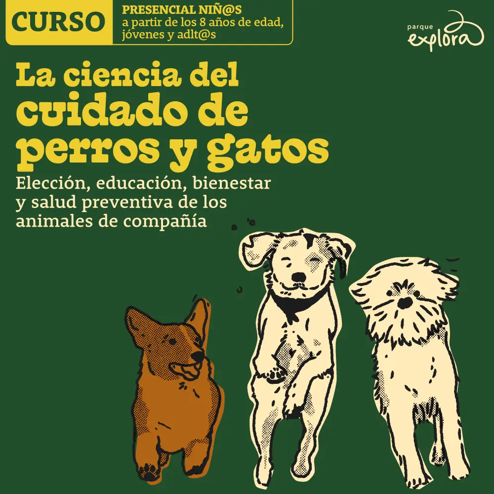 Imagen de galería