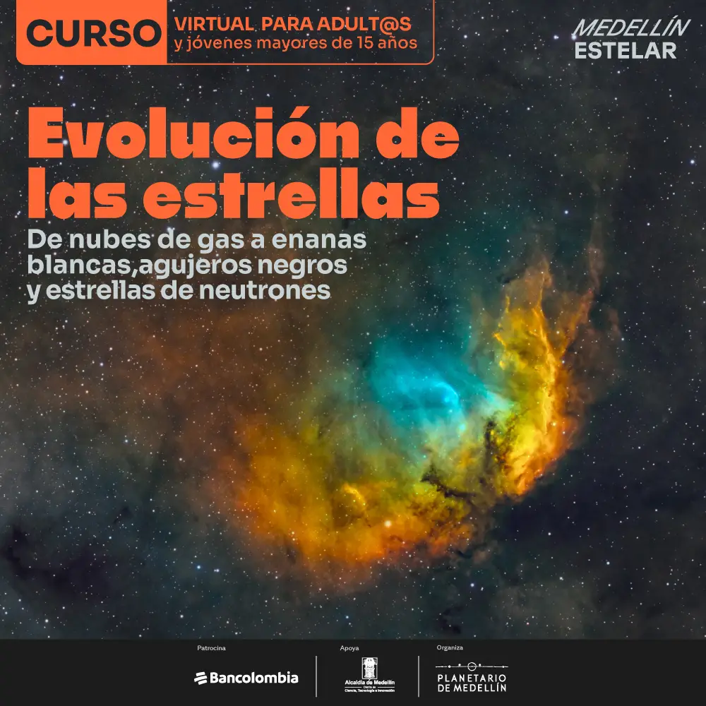 Imagen de galería