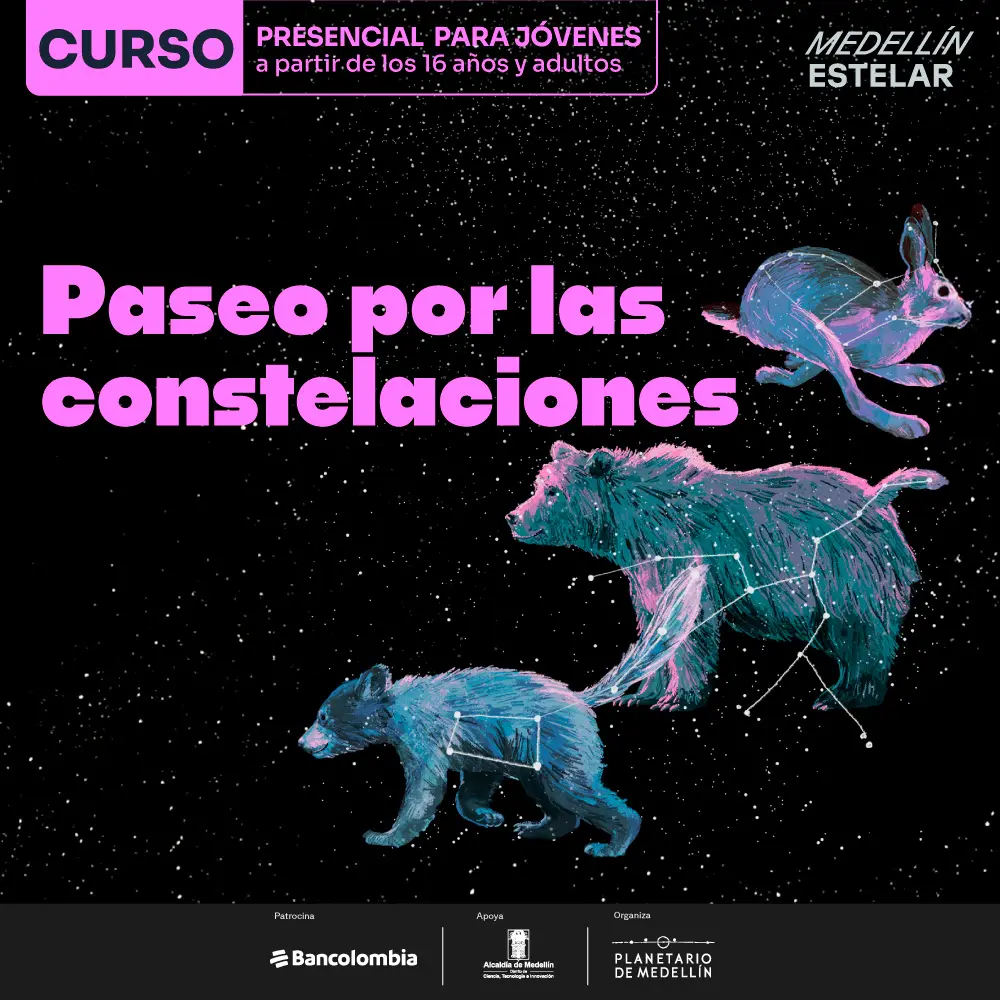 Imagen de galería