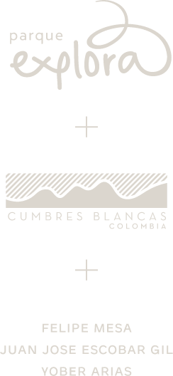 El alma de la tierra